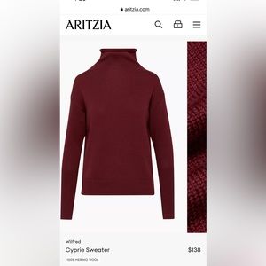 Aritzia turtleneck